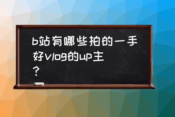 燃烧的陀螺仪是谁 b站有哪些拍的一手好vlog的up主？