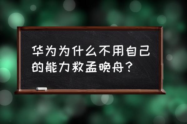 纳斯塔季奇 华为为什么不用自己的能力救孟晚舟？