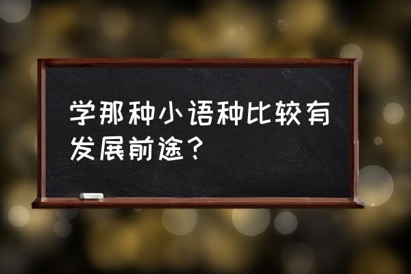 小语种哪个最有前途 学那种小语种比较有发展前途？