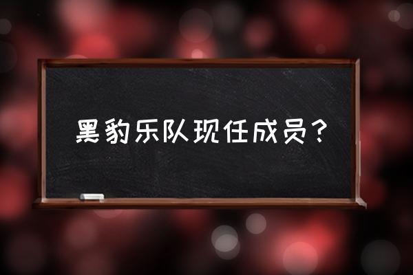 黑豹现任主唱 黑豹乐队现任成员？