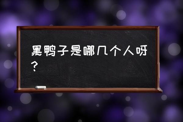 黑鸭子组合谁最漂亮 黑鸭子是哪几个人呀？