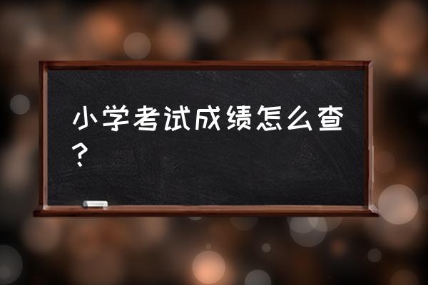 东平小学成绩查询 小学考试成绩怎么查？