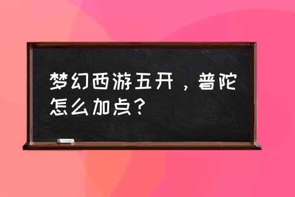 五普陀怎么加点 梦幻西游五开，普陀怎么加点？