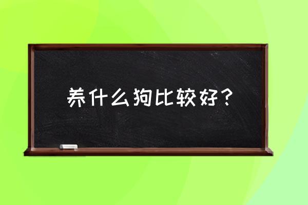 养什么狗好适合家养 养什么狗比较好？