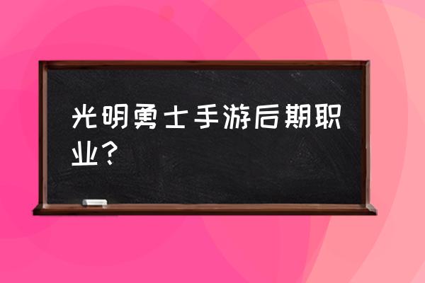 光明勇士 趣游戏 光明勇士手游后期职业？