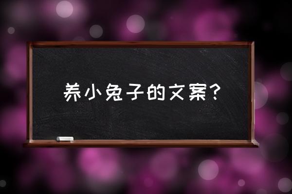 爱不释手的二十款玩偶 养小兔子的文案？