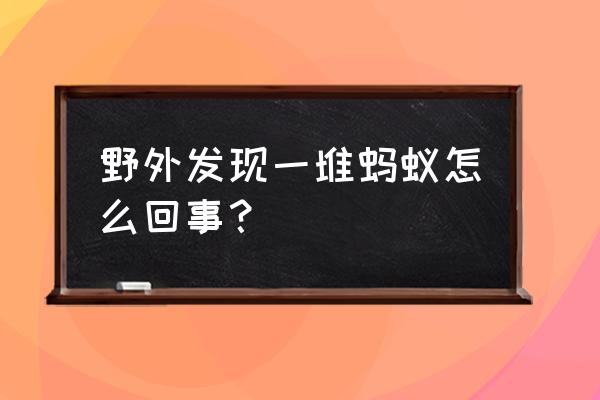 户外怎么驱赶蚂蚁 野外发现一堆蚂蚁怎么回事？