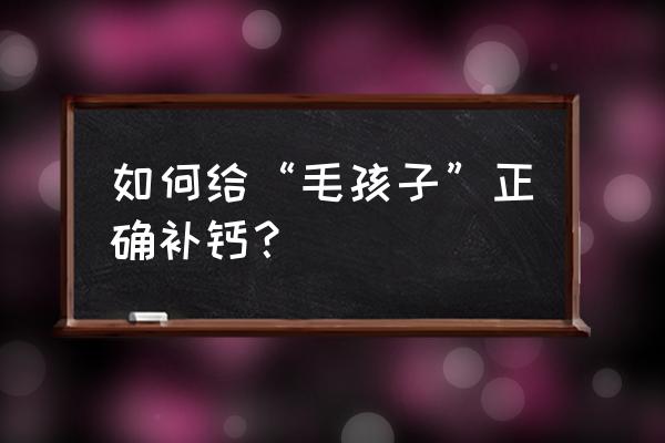 如何正确的给宝宝补钙 如何给“毛孩子”正确补钙？