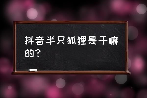 天涯明月刀小狐狸怎么弄 抖音半只狐狸是干嘛的？