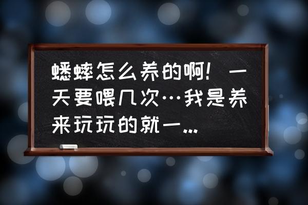 玉米地蟋蟀夜里怎么捉 蟋蟀怎么养的啊！一天要喂几次…我是养来玩玩的就一只…有什么要注意的事？