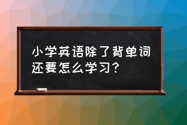 记英语单词的方法小学 小学英语除了背单词还要怎么学习？