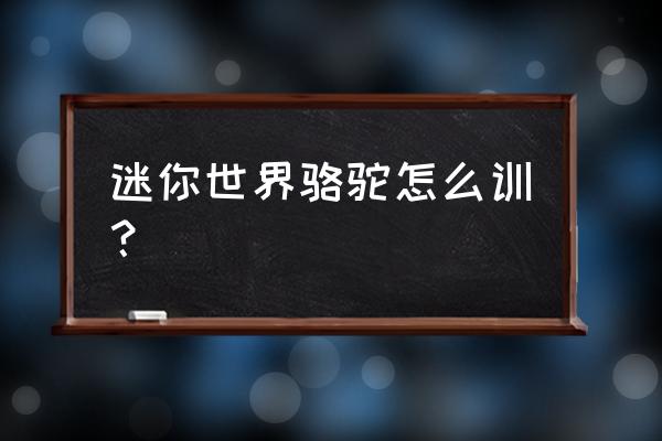 迷你世界的骆驼怎么驯服 迷你世界骆驼怎么训？