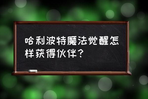 哈利波特魔法觉醒主线2-14怎么过 哈利波特魔法觉醒怎样获得伙伴？