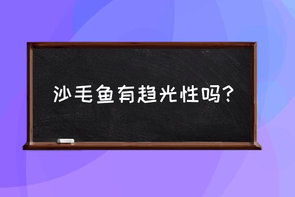 沙光鱼用什么饵料比较好钓 沙毛鱼有趋光性吗？