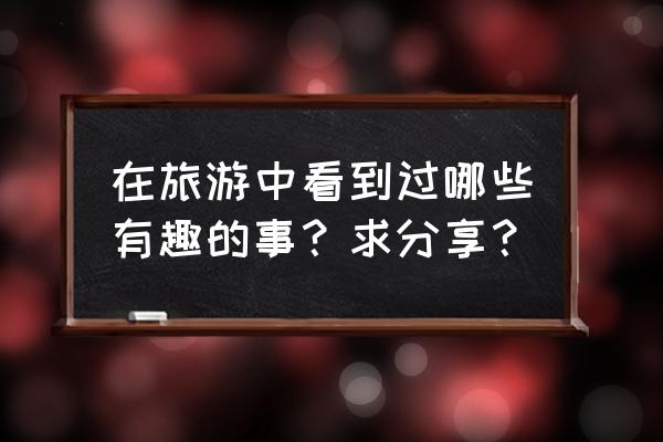 小动物之星隐藏成就雨神御用伴舞 在旅游中看到过哪些有趣的事？求分享？