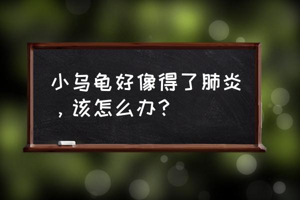 小孩得了肺炎一直不好怎么办 小乌龟好像得了肺炎，该怎么办？