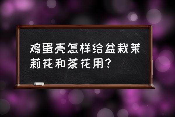 生活中的意想不到的小窍门 鸡蛋壳怎样给盆栽茉莉花和茶花用？