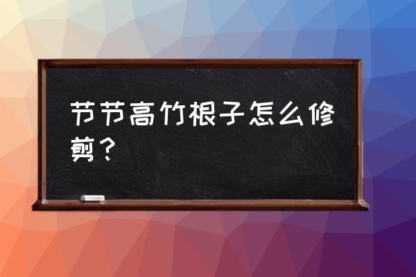 水养竹子越长越高怎么修剪 节节高竹根子怎么修剪？