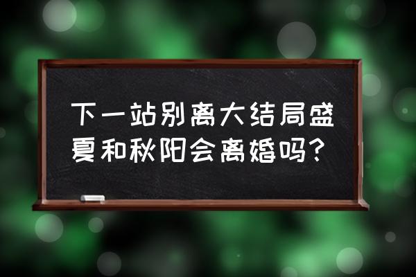 不得不爱冷肆盛夏 下一站别离大结局盛夏和秋阳会离婚吗？