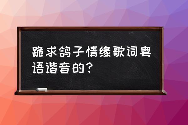 鸽子情缘 跪求鸽子情缘歌词粤语谐音的？