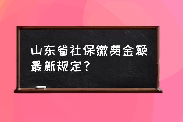 社保个人缴费基数 山东省社保缴费金额最新规定？