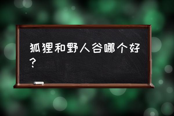 狐狸冰川符文打法 狐狸和野人谷哪个好？