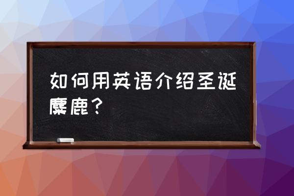 圣诞节歌曲50首 如何用英语介绍圣诞麋鹿？