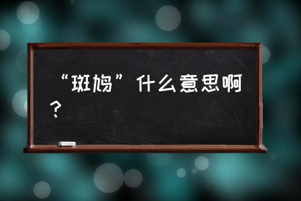 乌鸦坐飞机是什么梗 “斑鸠”什么意思啊？