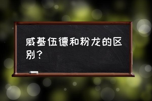 eden英文名怎么读 威基伍德和粉龙的区别？