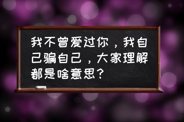 我不曾爱过你 我不曾爱过你，我自己骗自己，大家理解都是啥意思？