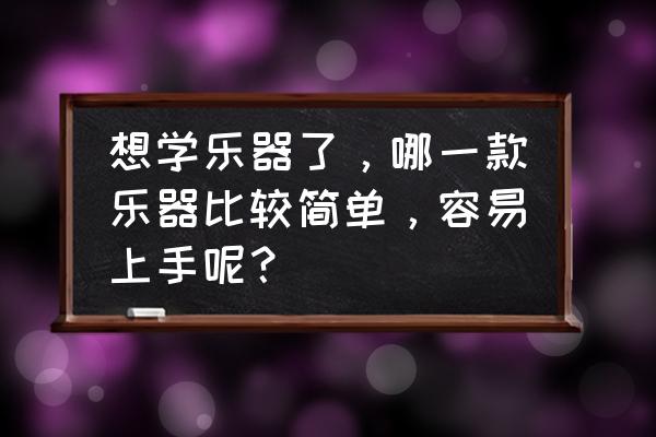 什么乐器最好学最实用 想学乐器了，哪一款乐器比较简单，容易上手呢？